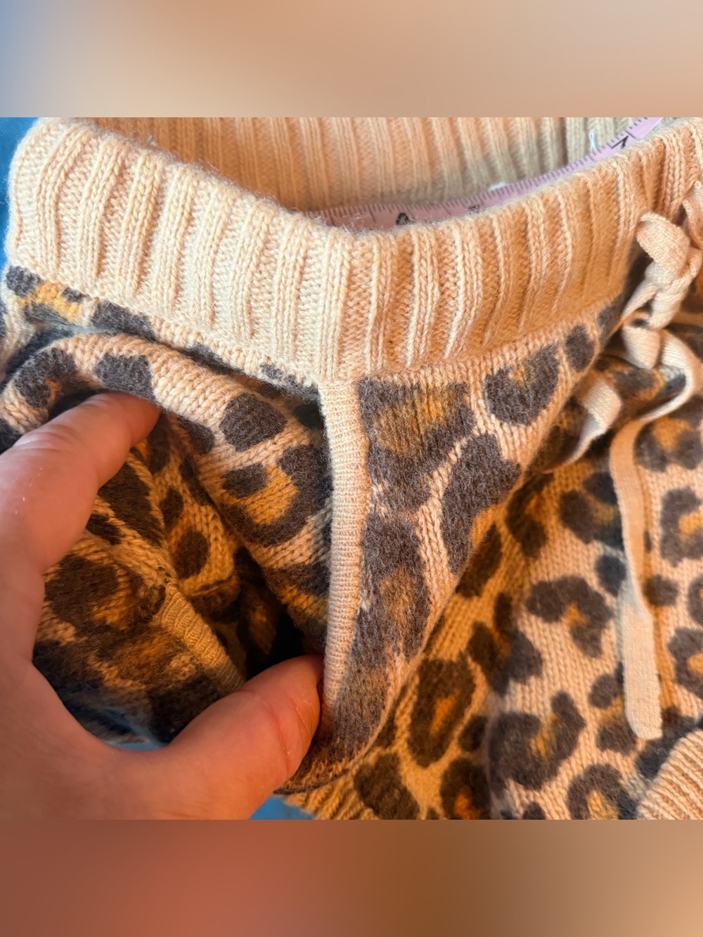Spell Wildcat Shorts! - Picture 7 of 10